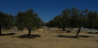 Santuario di Poseidone.