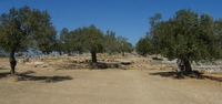Santuario di Poseidone.