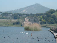 il lago Averno ingresso dell'Ade