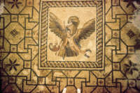 Casa di Dionisio a Pafos Ganimede e laquila Immagine gentilmente fornita dall'Ente Nazionale per il Turismo di Cipro.