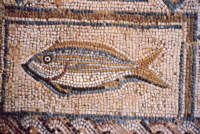 Pavimento in mosaico - Pesce, Kourion.