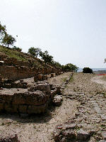 Morgantina, via del Prytaneion.