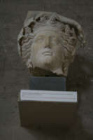 Testa di Dioniso