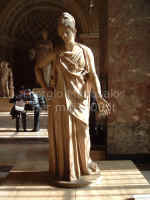 Atena pacifica o mattei vista A.jpg (89502 byte)