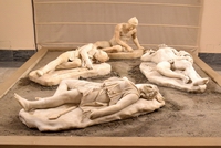 Piccolo Donario Pergameno - Copia romana II sec. d.C. da originale greco del II sec.d.C., inv. 6012 Amazzone, 6013 Gigante, 6014 guerriero morto, 6015 Galata ferito.
