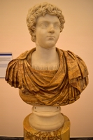 Busto Caracalla ragazzo. - Busto moderno di alabastro. 196-204 d.C., inv. 6082.