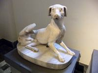 Asclepio