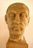 Testa ritratto